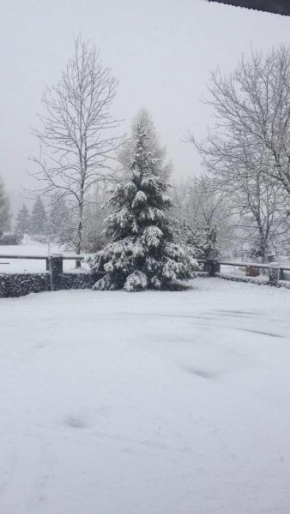 Asiago